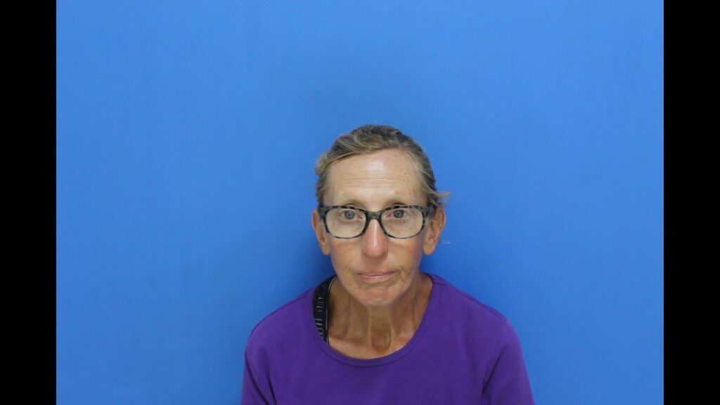 Mccall, Dana Barbour booked in Catawba County jail on multiple alleged charges Booking photo from Catawba County Who’s In Jail roster. Mccall, Dana Barbour has not been convicted of the charges listed.