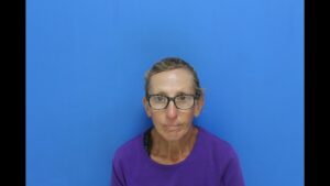 Mccall, Dana Barbour booked in Catawba County jail on multiple alleged charges