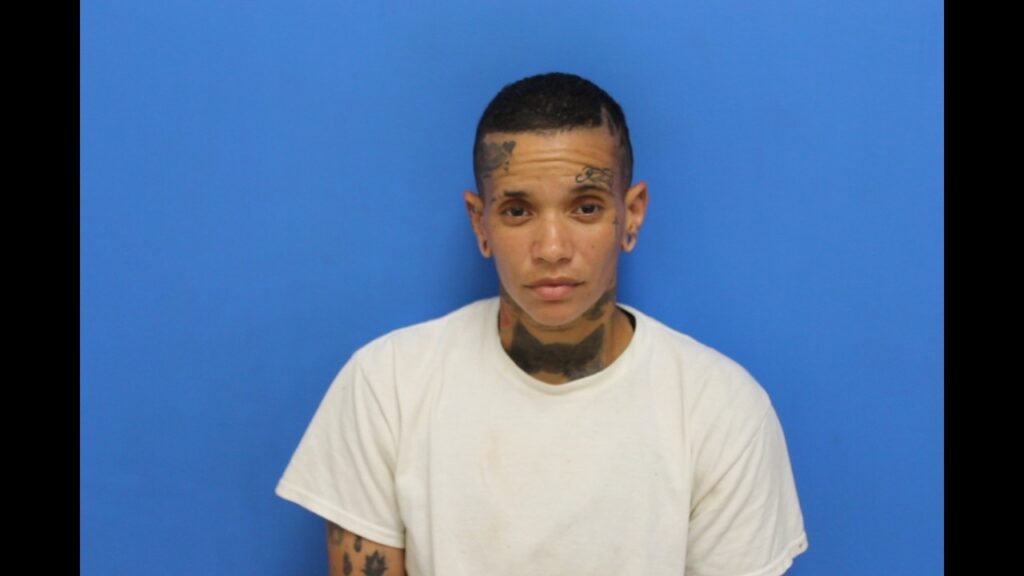 Booking photo from Catawba County Who’s In Jail roster. Cox, Vivianna Marie has not been convicted of the charges listed.