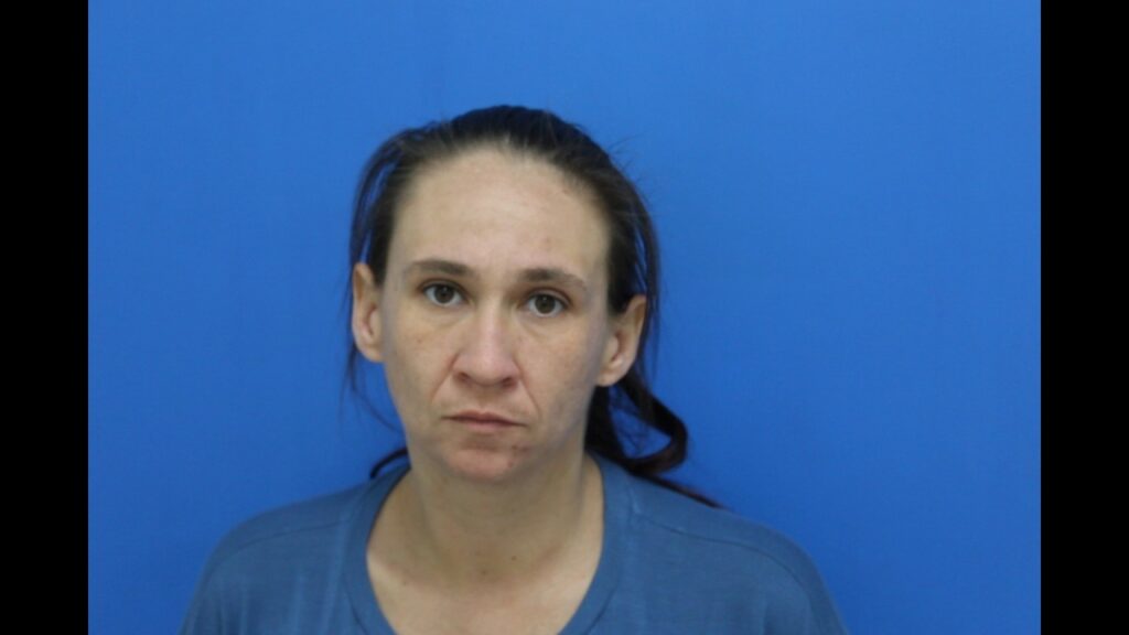 Booking photo from Catawba County Who’s In Jail roster. Scronce, Necole Elizabeth has not been convicted of the charges listed.