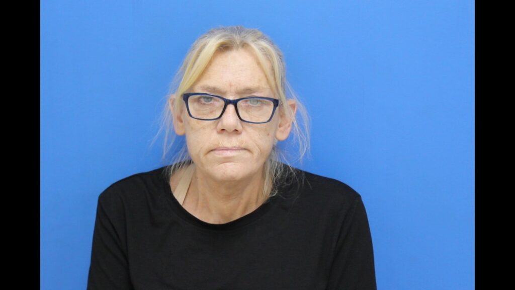 Booking photo from Catawba County Who’s In Jail roster. Ball, Thresea Carpenter has not been convicted of the charges listed.