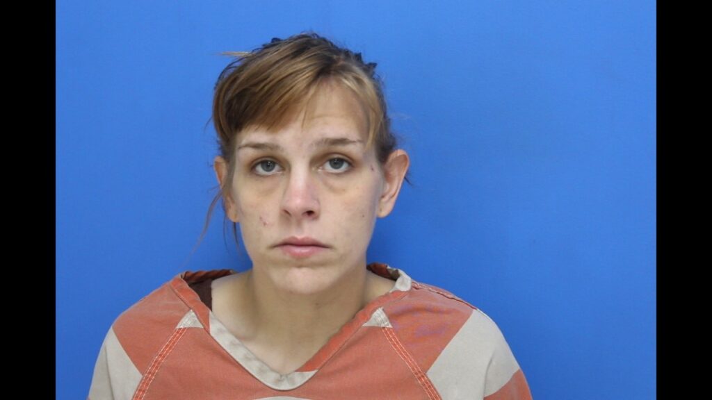 Booking photo from Catawba County Who’s In Jail roster. Wright, Summer Skye has not been convicted of the charges listed.