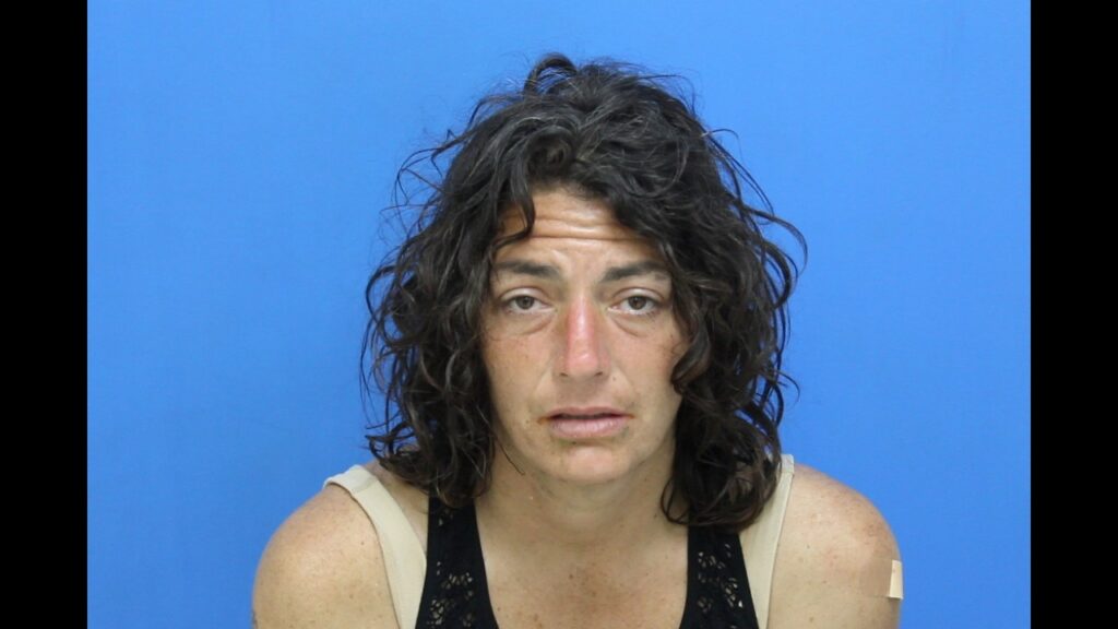 Booking photo from Catawba County Who’s In Jail roster. Thomas, Crystal Gail has not been convicted of the charges listed.