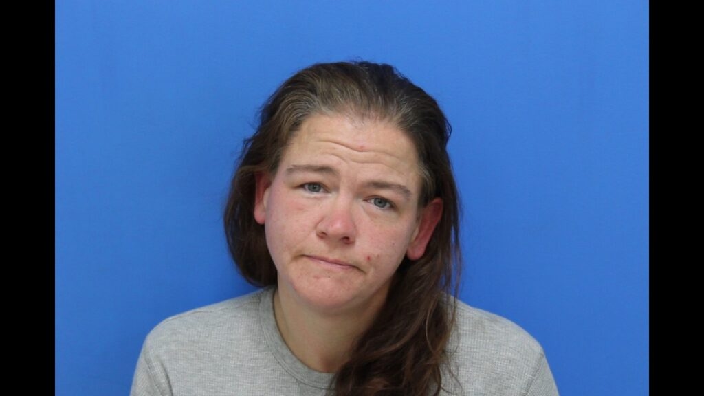 Booking photo from Catawba County Who’s In Jail roster. Minteer, Melissa Marie has not been convicted of the charges listed.