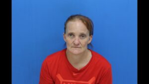 Estep, Katie Nicole booked in Catawba County jail on alleged felony probation violation