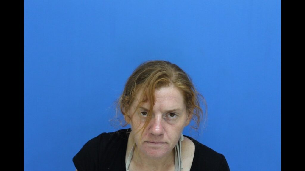 Booking photo from Catawba County Who’s In Jail roster. Snyder, Alexandria Beth has not been convicted of the charges listed.