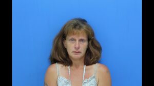 Fenstermacher, Christien Ann Marie booked in Catawba County jail on alleged cruelty to animals(m)