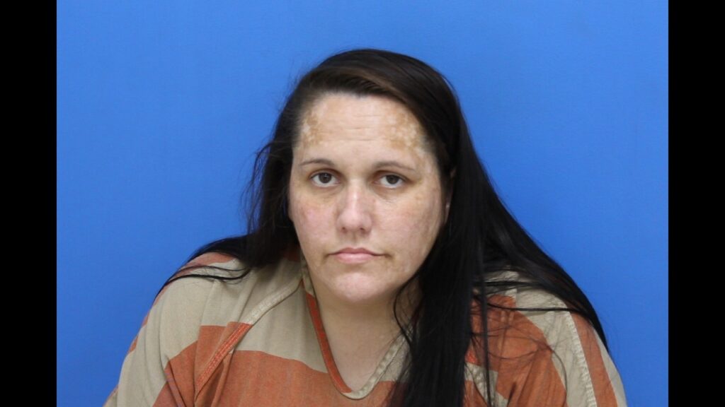 Booking photo from Catawba County Who’s In Jail roster. Bond, Brittany Nicole has not been convicted of the charges listed.