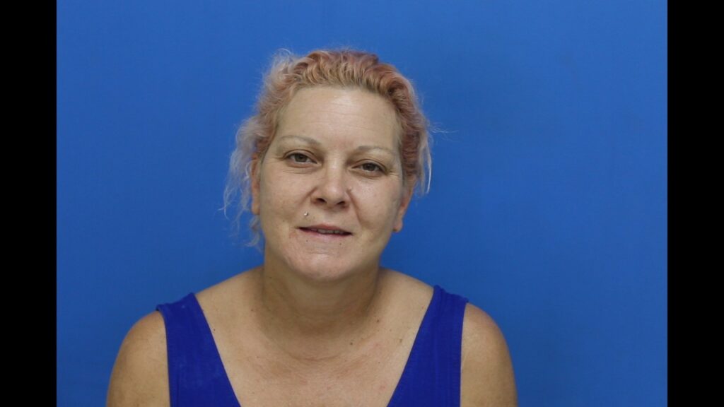 Booking photo from Catawba County Who’s In Jail roster. Bollinger, Tammy Marie has not been convicted of the charges listed.
