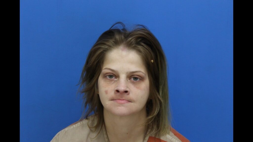 Delozier, Brittany Nicole booked in Catawba County jail on multiple alleged charges Booking photo from Catawba County Who’s In Jail roster. Delozier, Brittany Nicole has not been convicted of the charges listed.