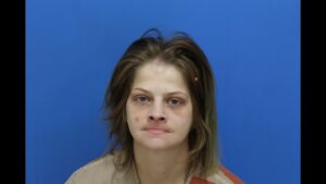 Delozier, Brittany Nicole booked in Catawba County jail on multiple alleged charges