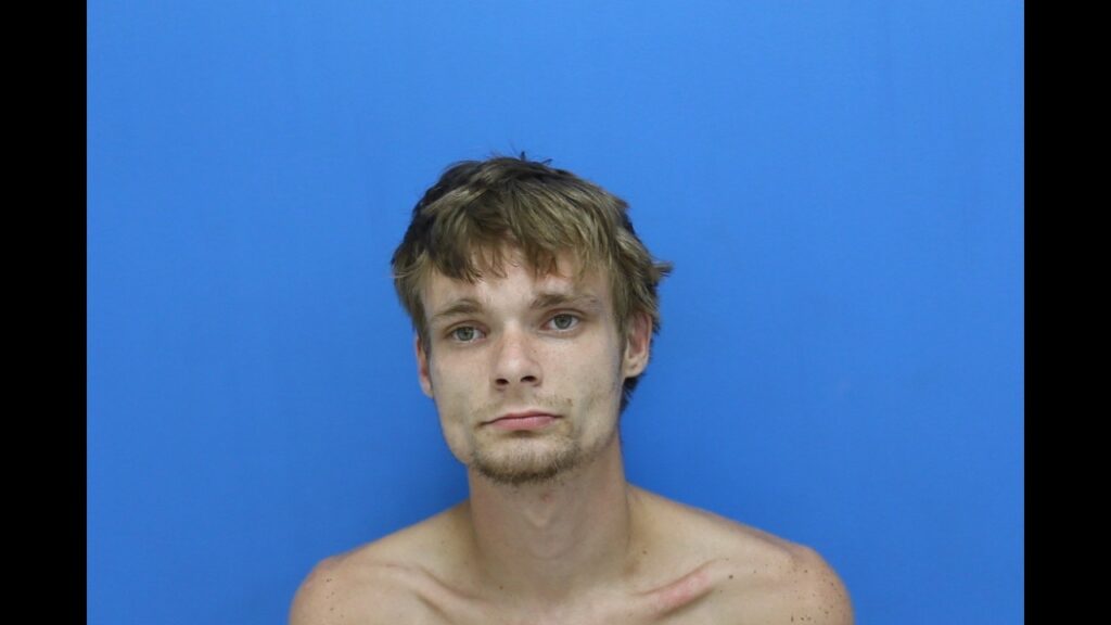 Peele, Dalton Lee booked in Catawba County jail on multiple alleged charges Booking photo from Catawba County Who’s In Jail roster. Peele, Dalton Lee has not been convicted of the charges listed.