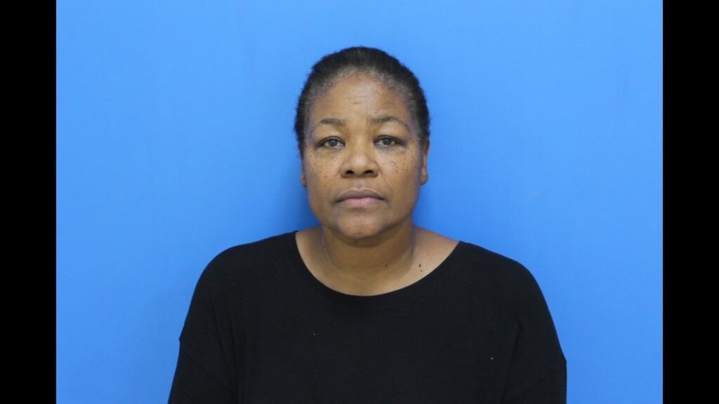 Booking photo from Catawba County Who’s In Jail roster. Schofield, Kimberly Deneen has not been convicted of the charges listed.