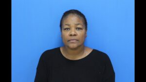 Schofield, Kimberly Deneen booked in Catawba County jail on multiple alleged charges
