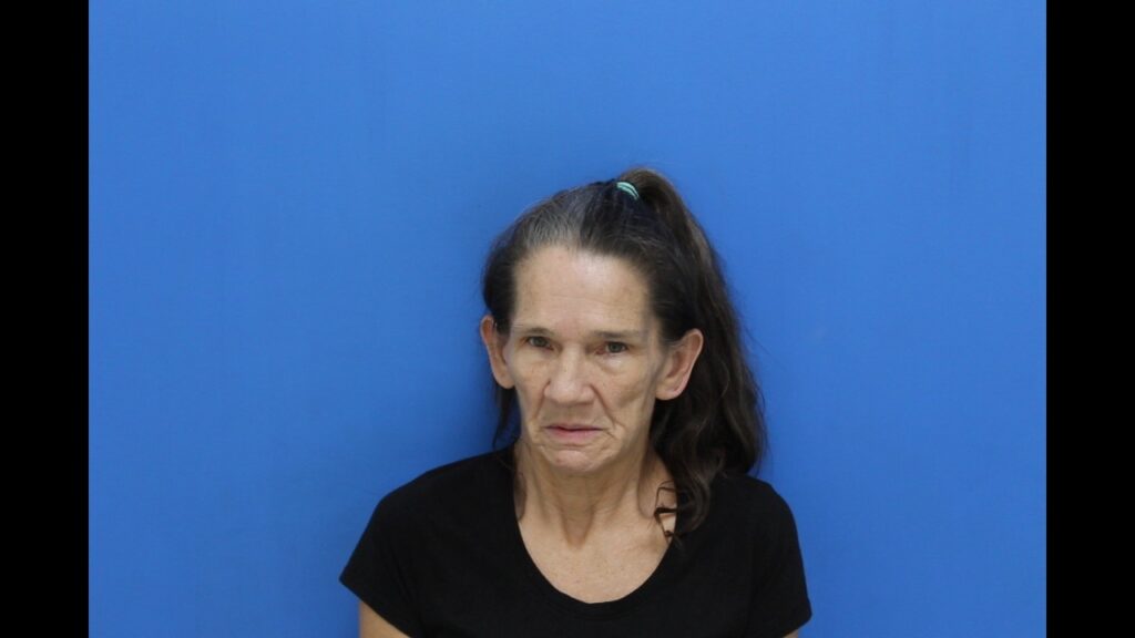 Booking photo from Catawba County Who’s In Jail roster. Hahn, Kelly Beard has not been convicted of the charges listed.