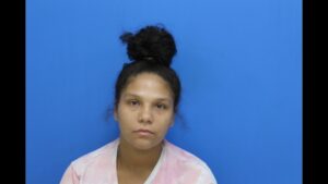 Ramseur, Tara Nicole booked in Catawba County jail on multiple alleged charges