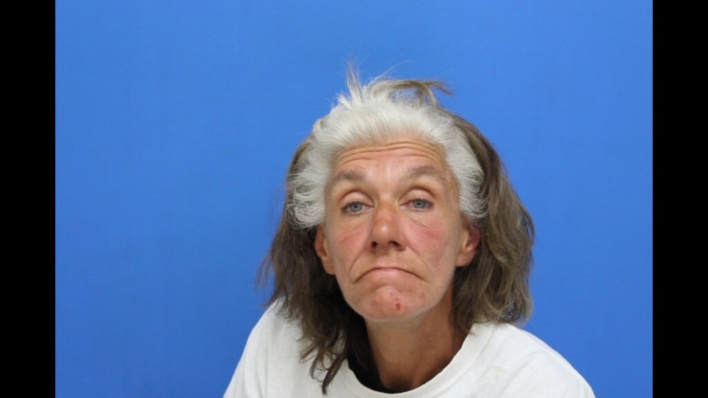 Booking photo from Catawba County Who’s In Jail roster. Harris, Cynthia Louise has not been convicted of the charges listed.