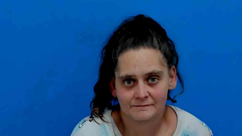 Smith, Amanda Nicole booked in Catawba County jail on alleged obtain property false pretense Booking photo from Catawba County Who’s In Jail roster. Smith, Amanda Nicole has not been convicted of the charges listed.