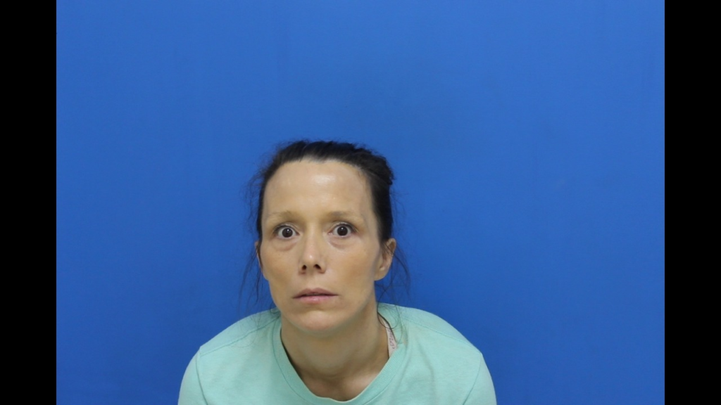 Booking photo from Catawba County Who’s In Jail roster. Tadlock, Amy Louise has not been convicted of the charges listed.