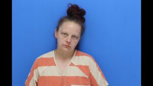 Braswell, Shawna Mae booked in Catawba County jail on multiple alleged charges