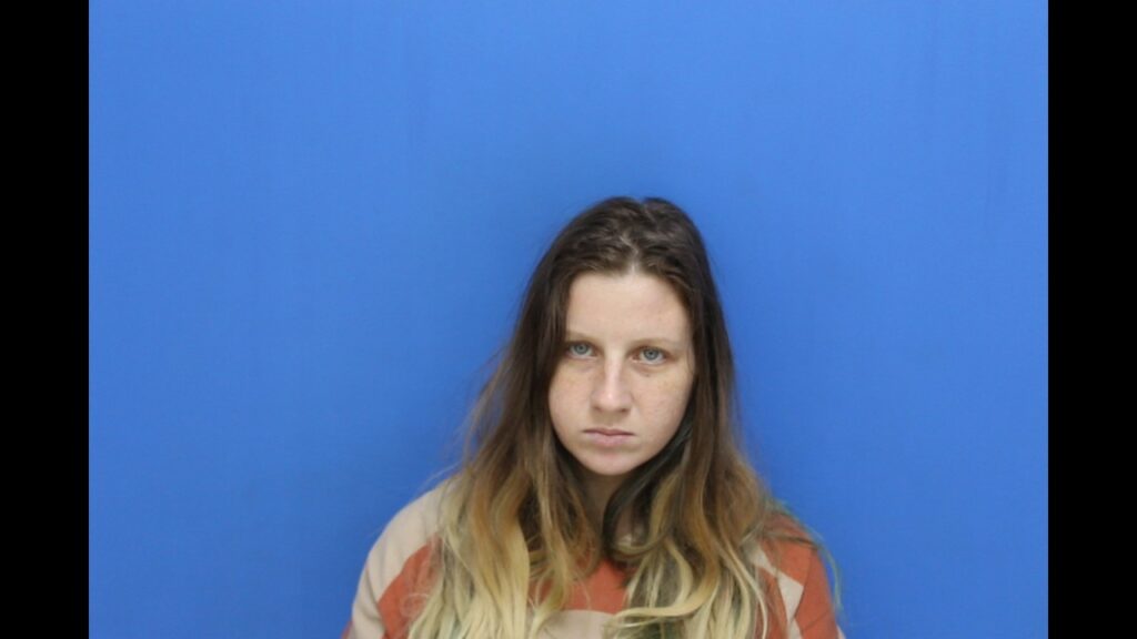 Booking photo from Catawba County Who’s In Jail roster. Dotson, Tiffani Mae has not been convicted of the charges listed.