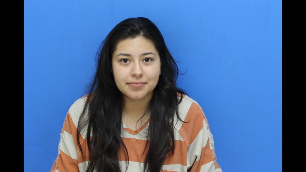 Cono-lara, Michele booked in Catawba County jail on alleged domestic violence Booking photo from Catawba County Who’s In Jail roster. Cono-lara, Michele has not been convicted of the charges listed.